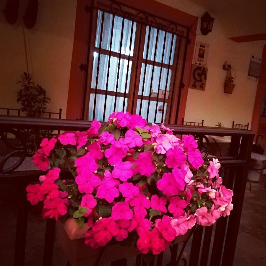 Casa De Aldea La Pescal Guest House ภายนอก รูปภาพ